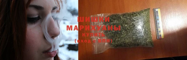 бошки Алексин