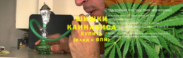 бошки Алексин